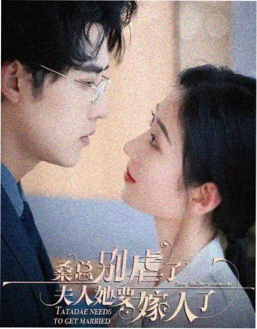 候鸟协议 高清剧集在线观看